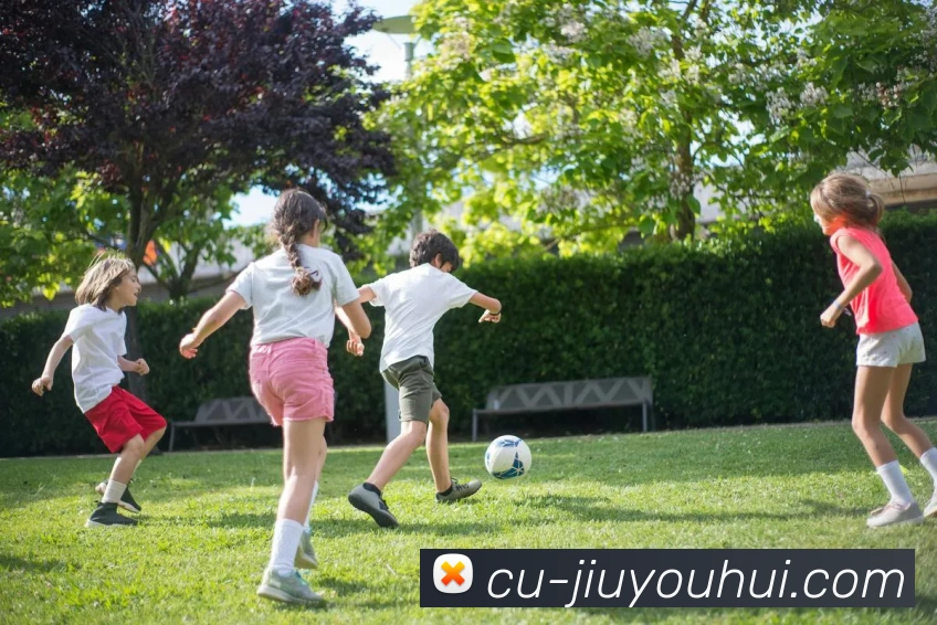 九游会官网发展历程